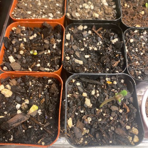 Sleepy jock  growlog photo: 4 out of 6 
