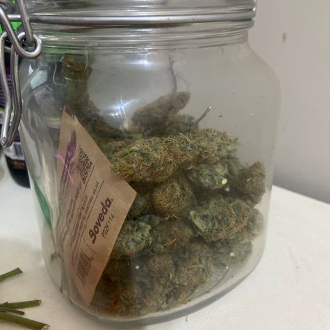 AK Auto growlog timeline photo