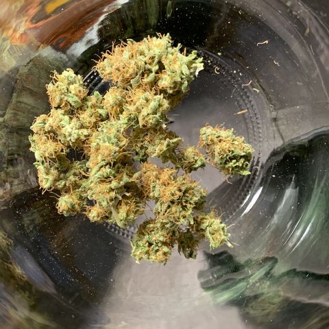 Unbekannte Sorte  (Buds gingen in Richtung Haze die den Samen gespendet haben)   growlog photo: Kleinere buds getrimmt Rest trocknet noch mindestens 2 Tage 