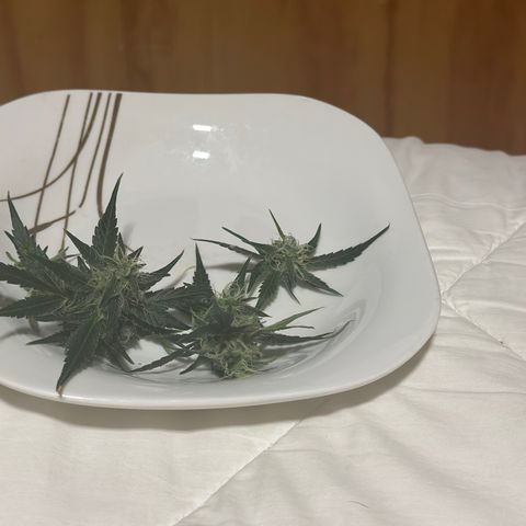 Public Enemy growlog timeline photo