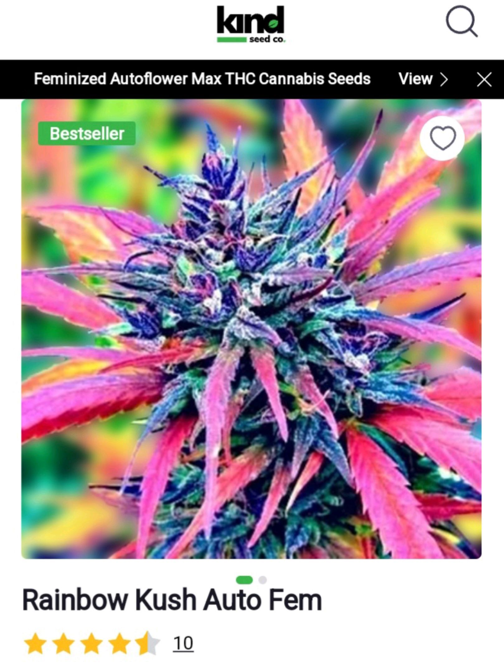 Rainbow Kush growlog header