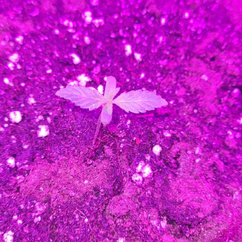 Luna growlog photo: 09:00 uhr