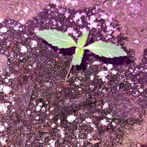 Luna growlog photo: 10:00 Uhr