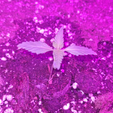 Luna growlog photo: 10:00 Uhr
