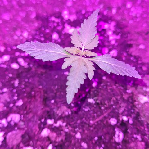 Luna growlog photo: 10:00 Uhr