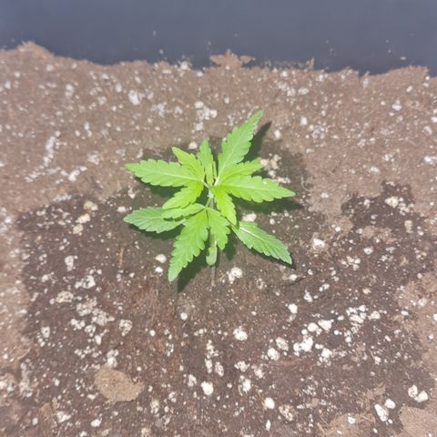 Luna growlog photo: 22:30 Uhr