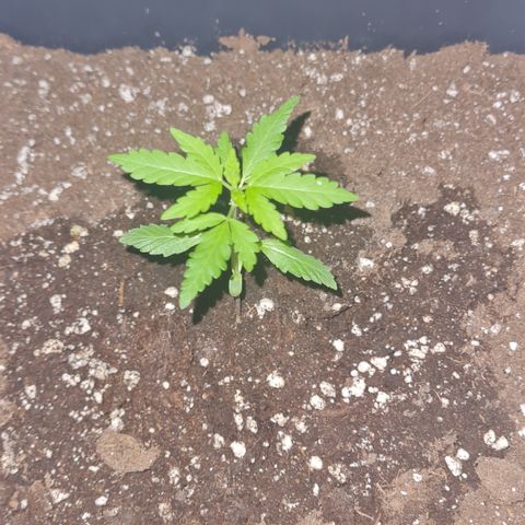 Luna growlog photo: 22:30 Uhr 