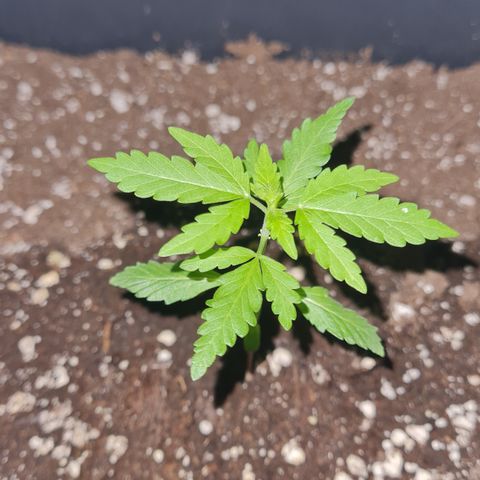 Luna growlog photo: 22:30 Uhr