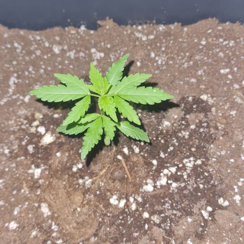 Luna growlog photo: 22:30 Uhr