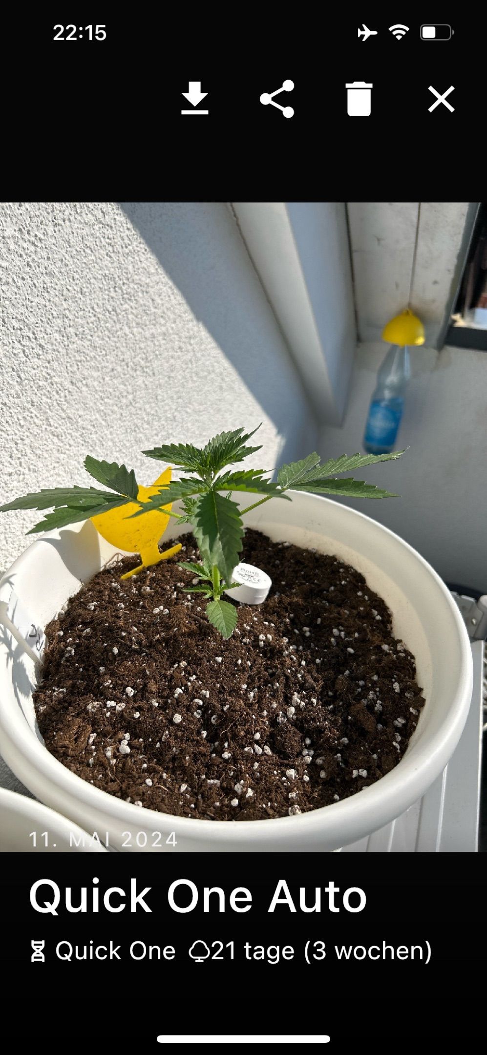 Quick One Auto growlog header