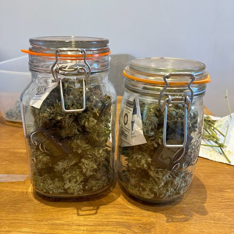 Janinha  growlog timeline photo