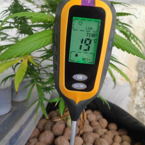 ♀️Mangava de Itacaré 🐝  growlog timeline photo