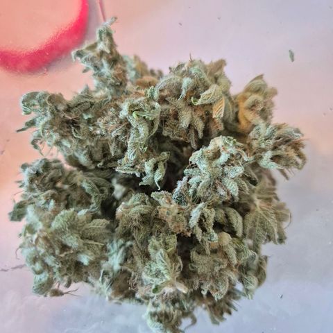 Goku (Gorilla Cookies) growlog timeline photo