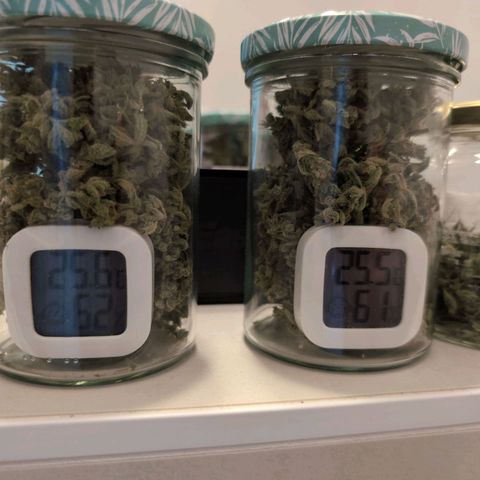 NL1 growlog timeline photo
