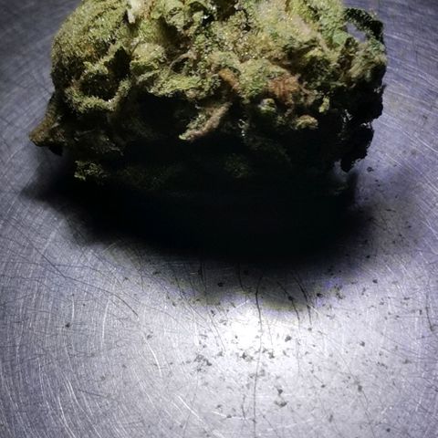 Green Poison growlog timeline photo