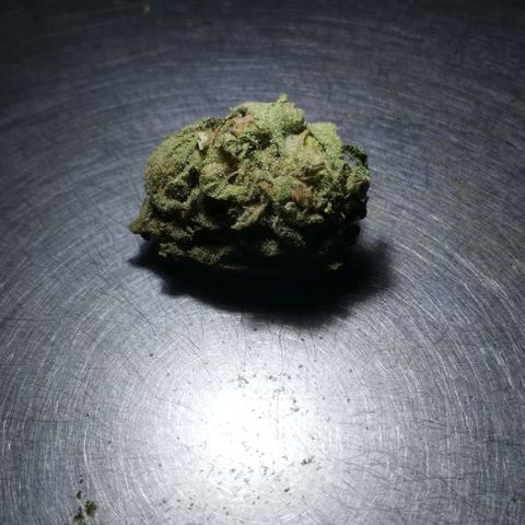 Green Poison growlog timeline photo