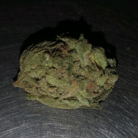 Green Poison growlog timeline photo