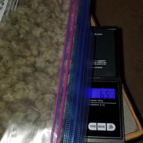 Critical Cheese growlog timeline photo