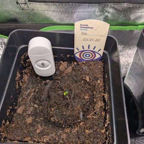 Grow Mix growlog timeline photo
