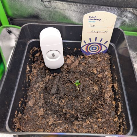 Grow Mix growlog timeline photo