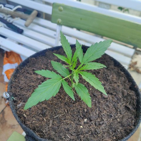 Baby🫶 growlog timeline photo