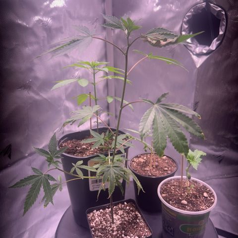 Bubby  growlog photo: A couple hours later 9:53 pm no water as of yet.