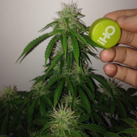 M8 growlog timeline photo