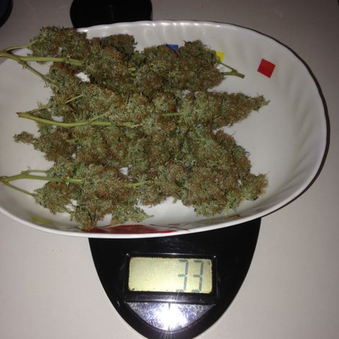 M8 growlog timeline photo