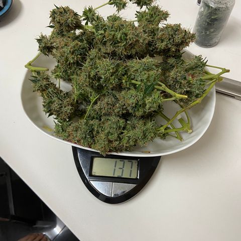M8 growlog timeline photo