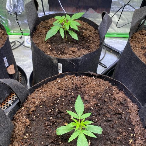 Auto Think Different growlog photo: Licht seit wenigen Minuten an.