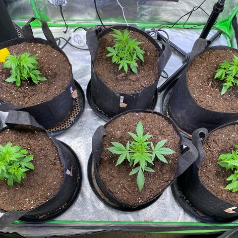 Auto Think Different growlog photo: Die schwächste habe ich ausgelassen.