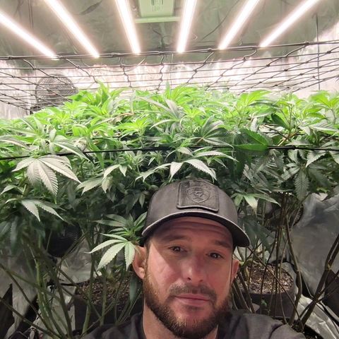 Black phoenix 22A growlog timeline photo