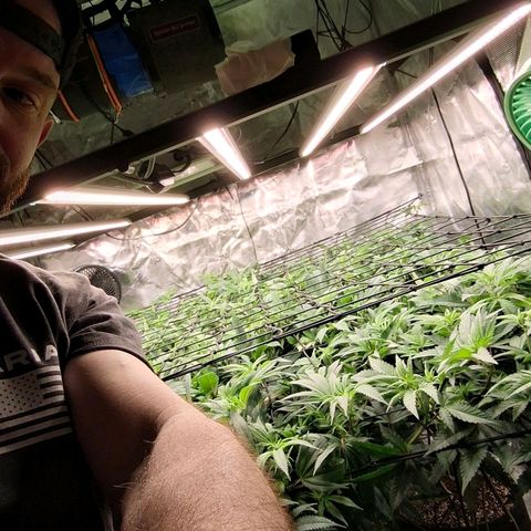 Gg4 21A growlog timeline photo