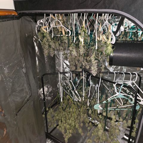 Gg4 21A growlog timeline photo