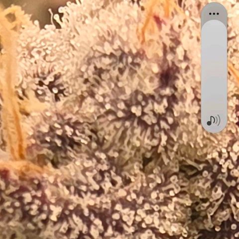 Gg4 21A growlog timeline photo