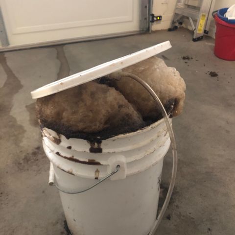 Girl Scout Cookies growlog photo: Compost tea day 