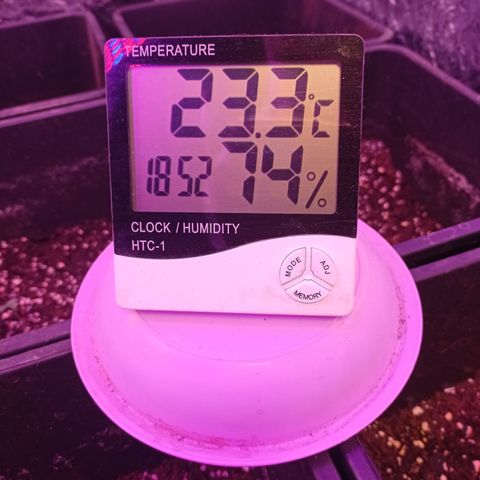 Milky Way #01 growlog timeline photo