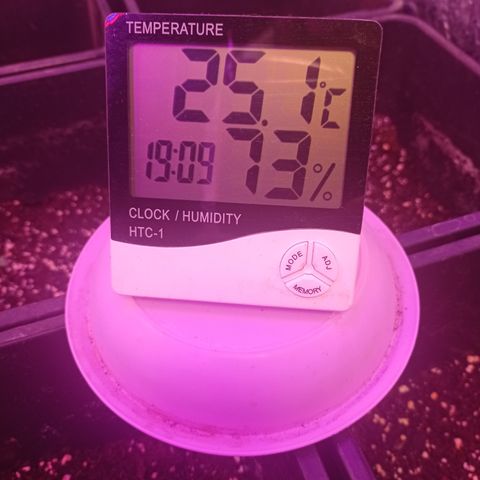 Milky Way #01 growlog timeline photo
