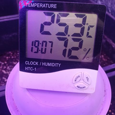 Milky Way #01 growlog timeline photo
