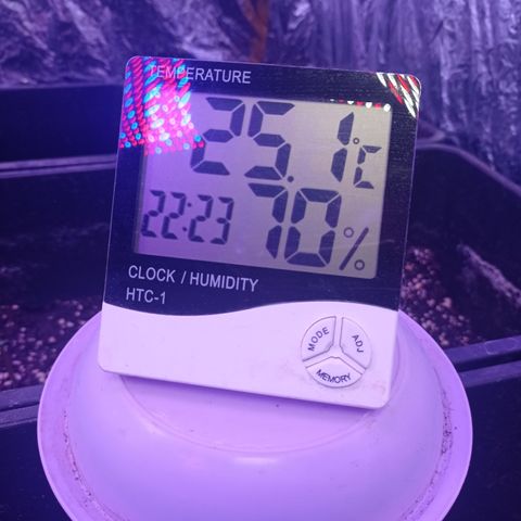 Milky Way #01 growlog timeline photo