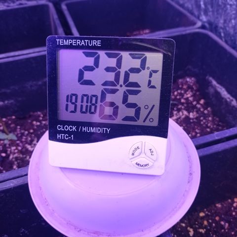 Milky Way #01 growlog timeline photo