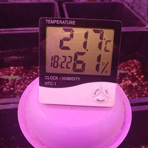 Milky Way #01 growlog timeline photo