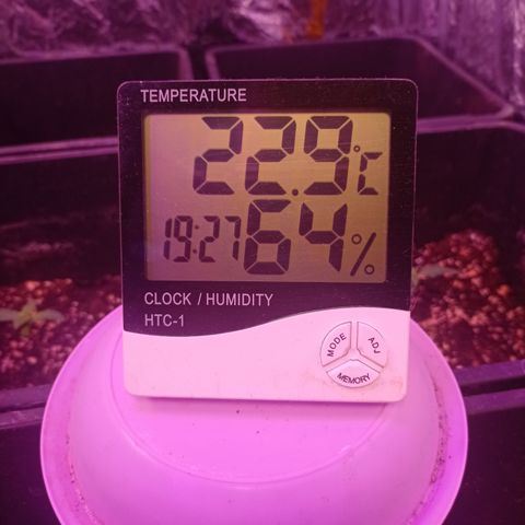 Milky Way #01 growlog timeline photo
