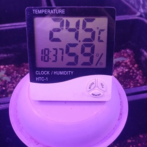 Milky Way #01 growlog timeline photo
