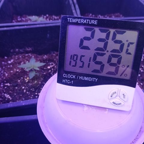 Milky Way #01 growlog timeline photo