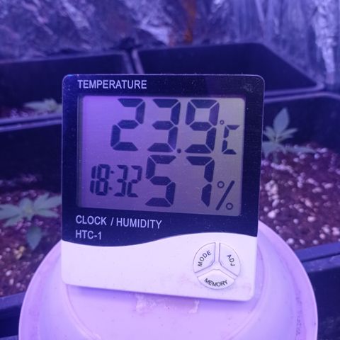 Milky Way #01 growlog timeline photo