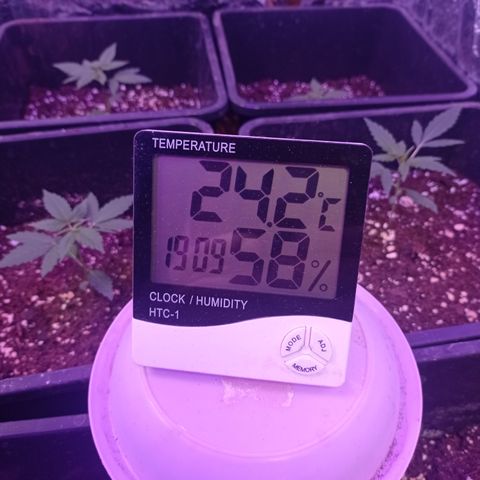 Milky Way #01 growlog timeline photo