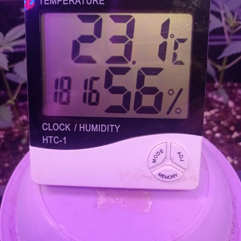 Milky Way #01 growlog timeline photo