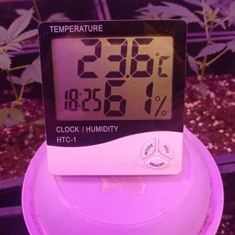 Milky Way #01 growlog timeline photo