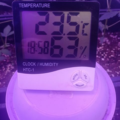 Milky Way #01 growlog timeline photo